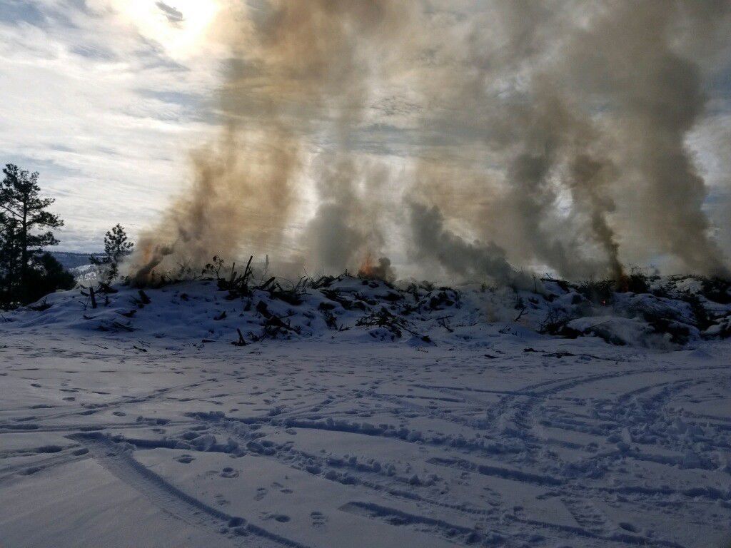 Lakeside Ranger District plans prescribed slash pile burn - photo